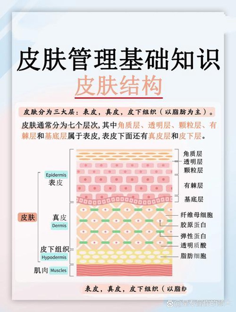 皮肤管理软件——现代美容新利器
